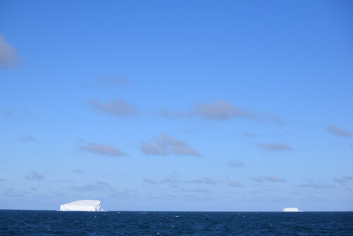 Beneath the vast blue sky, the icebergs of the Southern Ocean stand silently, witnessing one of Earth's most untouched and fragile beauties. Photo credit: Minoru Ikehara.