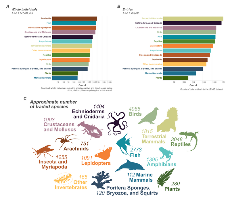 This graphic illustrates data from LEMIS on wildlife in trade in the United States, showing the number of individuals traded for each animal group. Image adapted from the journal paper The magnitude of legal wildlife trade and implications for species survival (PNAS, 2025).