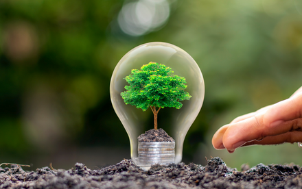 Researchers Receive Environment and Conservation Fund to Drive Green Solutions