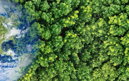 Revolutionising Everyday Cleaners - A Greener Way to Produce Alkaline Hydrogen Peroxide