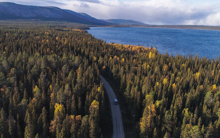 Forests Can’t Keep Up: Adaptation Will Lag Behind Climate Change