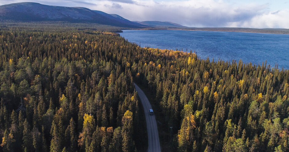  Forests are struggling to keep up with climate change—action is needed now! 