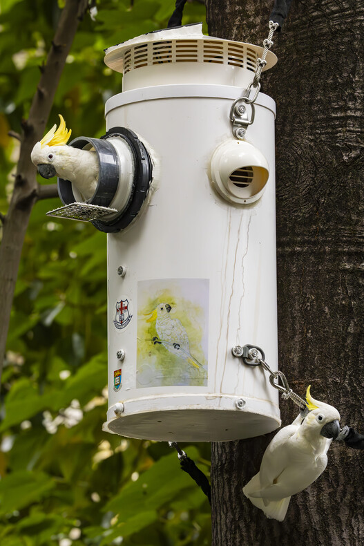 nest box