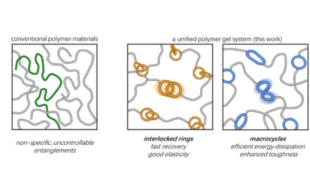 HKU Chemists Unlock the Secret to Designing Ultra-Tough and Responsive “Smart” Materials"