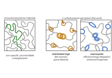 Illustration of different molecular ring structures in polymer materials. Image adapted from Luo et al., JACS (2026).