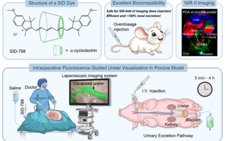 HKU MILES-Shenzhen Pioneers Novel Super-Inert Fluorescent Dye For Clearer Ureter Imaging during Surgical Navigation