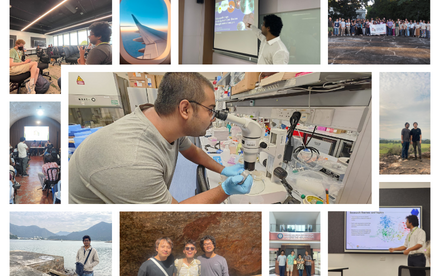 From Common Core to Published Research: An Unexpected First-Year Discovery