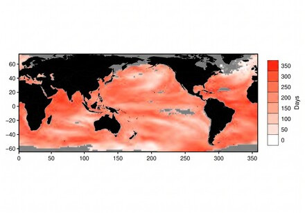 HKU Ecologists Warn That Marine Heatwaves Pose an Underestimated Threat to Public Health