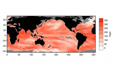 HKU Ecologists Warn That Marine Heatwaves Pose an Underestimated Threat to Public Health
