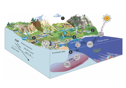 Figure 1. Conceptual model of coastal groundwater phosphorus driving the global acceleration of algal blooms. Image credit: Cheng et al., Nature Communications (2026), CC BY 4.0.