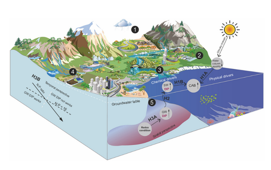 Figure 1. Conceptual model of coastal groundwater phosphorus driving the global acceleration of algal blooms. Image credit: Cheng et al., Nature Communications (2026), CC BY 4.0.
