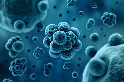 Molecular