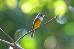 Ecology & Biodiversity