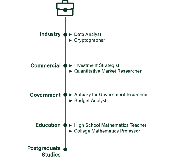 Industry: Data Analyst, Cryptographer; Commercial: Investment Strategist, Quantitative Market Researcher; Government: Actuary for Government Insurance, Budget Analyst; Education: High School Mathematics Teacher,  College Mathematics Professor; and Postgraduate Studies
