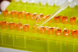 Molecular Biology & Biotechnology
