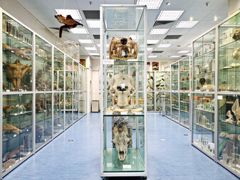 Hong Kong Biodiversity Museum