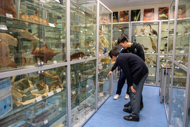 Hong Kong Biodiversity Museum