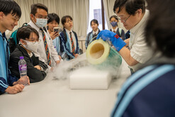 Elementary Particles and Superconductivity