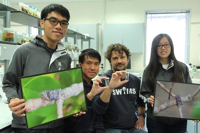 School of Biological Sciences Associate Professor Dr Stefano Cannicci, Dr Kevin Ho King-yan