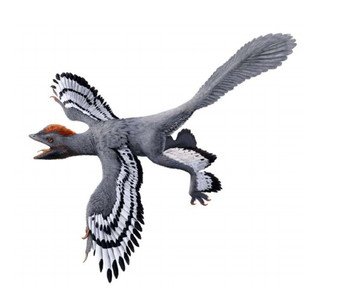 Life reconstruction of the bird-like feathered dinosaur Anchiornis