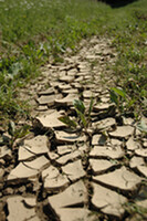 Climate Change