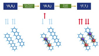 The singlet fission process in pentacene dimer.