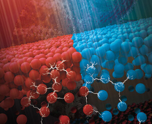 Physical Chemists Develop Photochromic Active Colloids Shedding Light on the Development of New Smart Active Materials