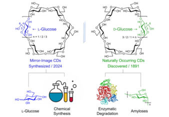Cyclodextrins, Setting the Stage to Explore the Mirror-Image World of the Century-Old Naturally Occurring Cyclodextrins