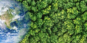 Revolutionising Everyday Cleaners - A Greener Way to Produce Alkaline Hydrogen Peroxide