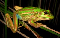 biodiversity matters