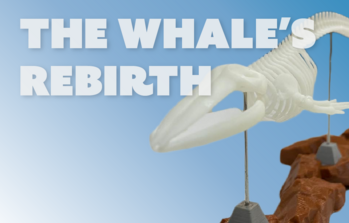 The Whale's Rebirth