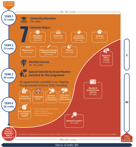 Sample study path for BSc&MRes students