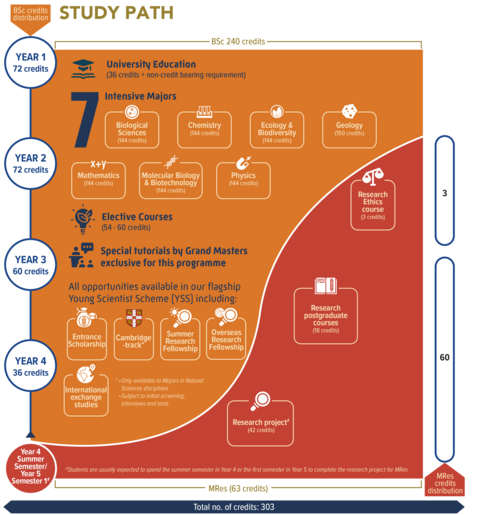 Sample study path for BSc&MRes students