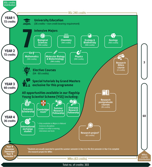 Sample study path for BSc&MRes students