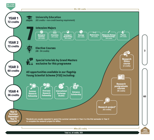Sample study path for BSc&MRes students