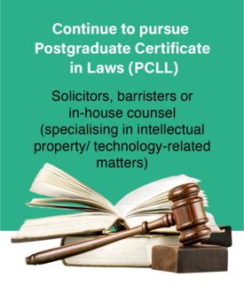     ­ Solicitors, barristers or in-house counsel (specialising in intellectual property/ technology-related matters)