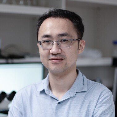 Dr Yufeng WANG