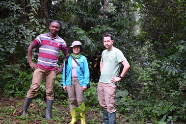 From left to right: Dr. Michel Dongmo, Dr. Shuang Xing, and Dr. Bonebrake searching for butterflies in Cameroon in 2018.