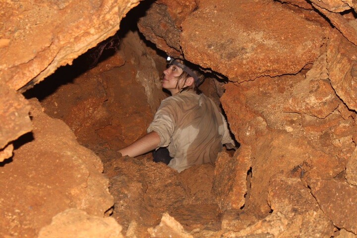 Surveying caves for bats in Northern Vietnam