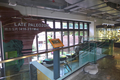 Stephen Hui Geological Museum