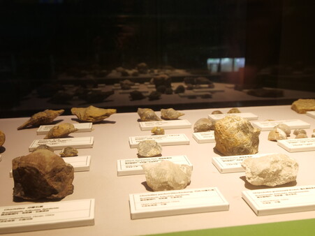 The collection at the Stephen Hui Geological Museum