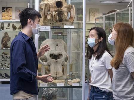 Tour guides in Hong Kong Biodiversity Museum