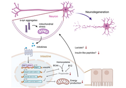 #Social Bites: A Substance that Protects against Parkinson’s Disease was Named 