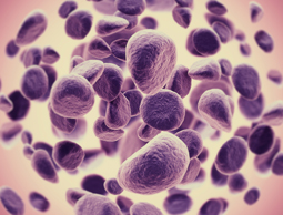 South China Morning Post: Hong Kong Scientists Aim to Cure Ovarian Cancer by Capturing Cells Spreading to Other Organs 