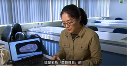 無綫新聞-星期日檔案：尋龍記