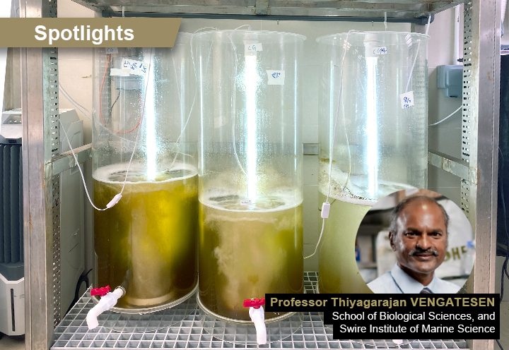 Spotlight: Revolutionising and Advancing Oyster Aquaculture Towards a Sustainable Tomorrow