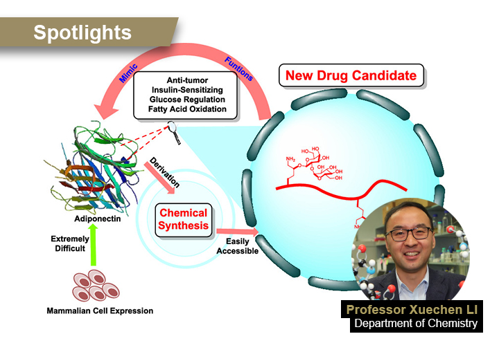 Spotlight: Synthesise Antibiotics to Fight Against Superbugs