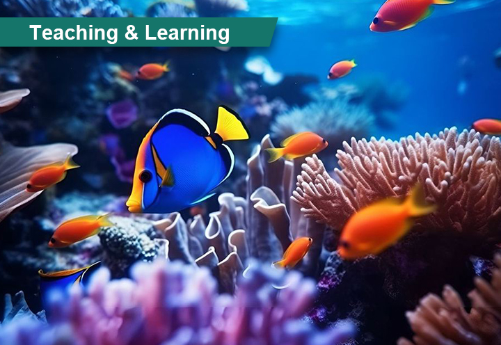 Teaching & Learning