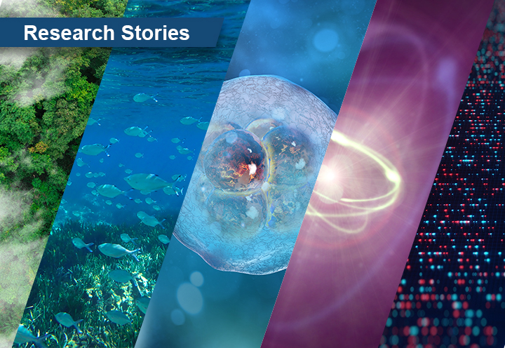 Research Stories