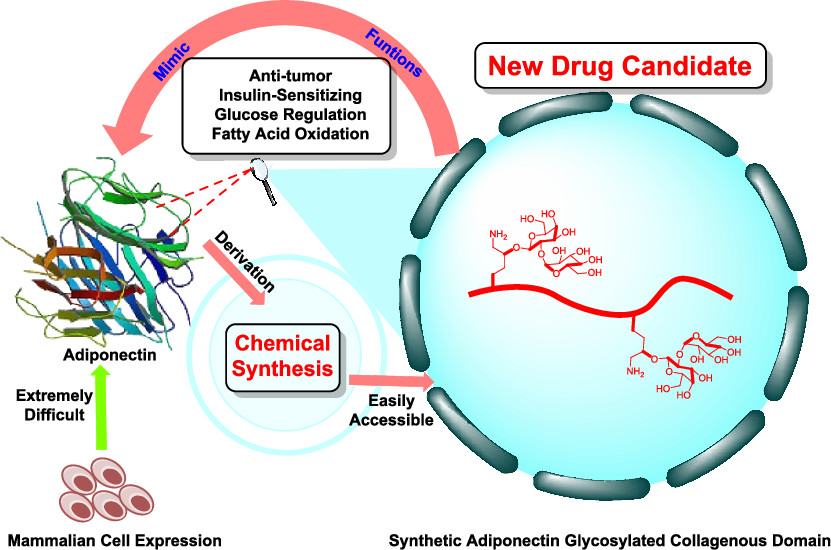 Synthesise Antibiotics to Fight Against Superbugs